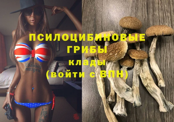 MESCALINE Аркадак