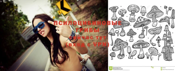 гидропоника Арсеньев