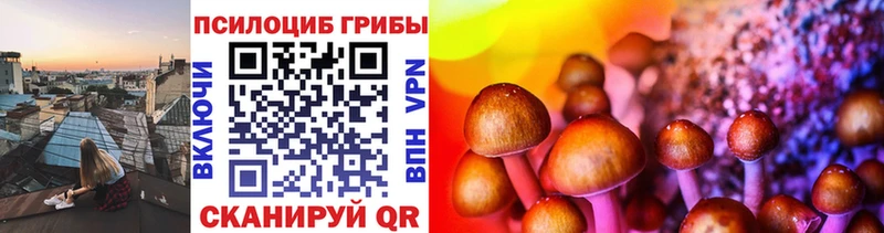 Псилоцибиновые грибы Psilocybine cubensis Миллерово