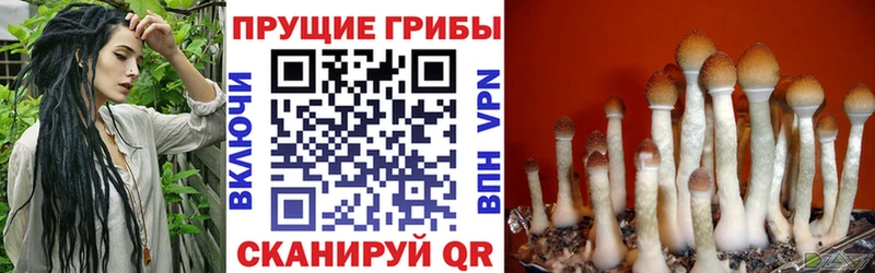наркошоп Миллерово Псилоцибиновые грибы Magic Shrooms